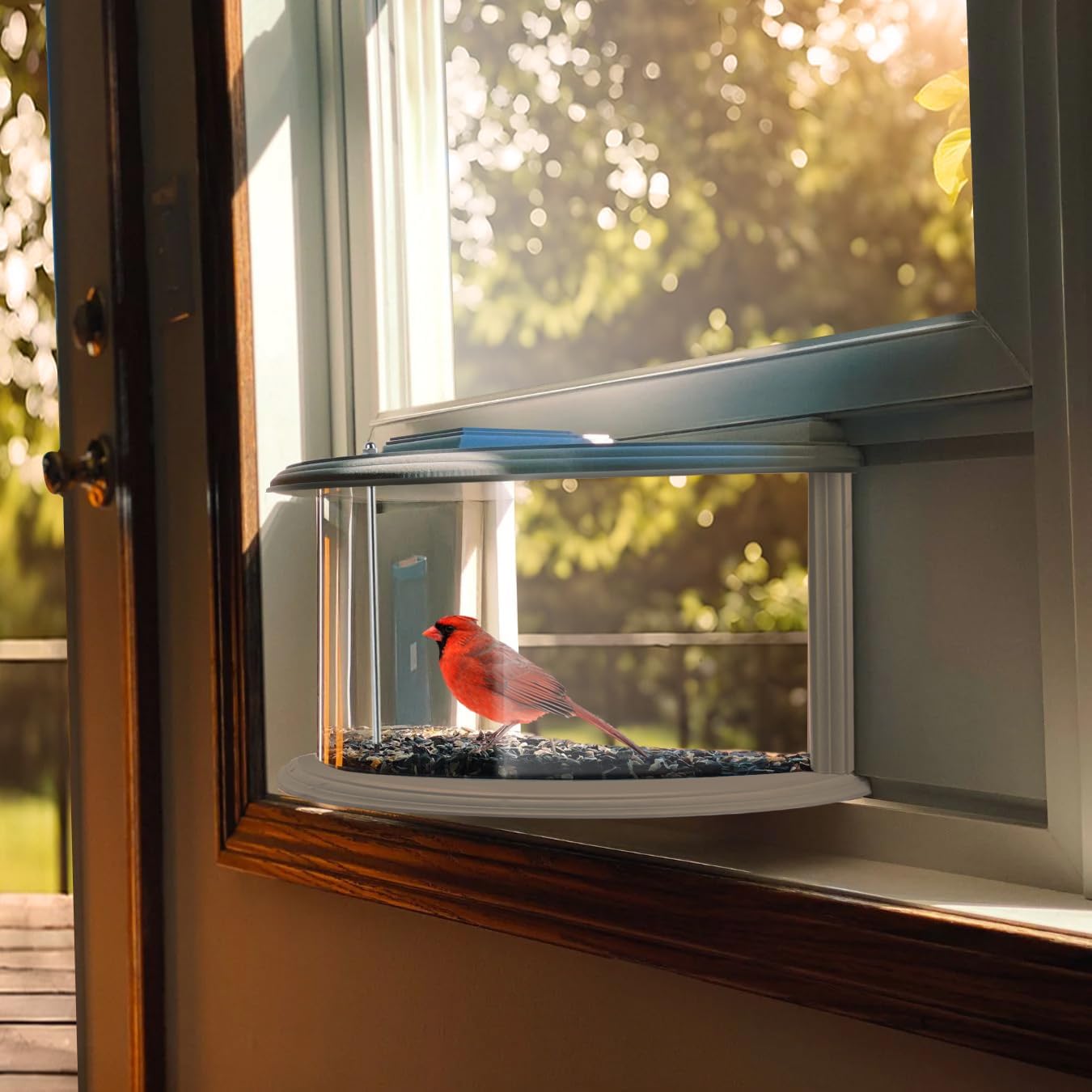 InViewBird™ Clear Window Bird Feeder